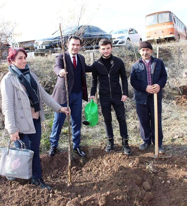 Kaymakamlık Projesine Sahip Çıktı  Fidanları Suya Kavuşturdu