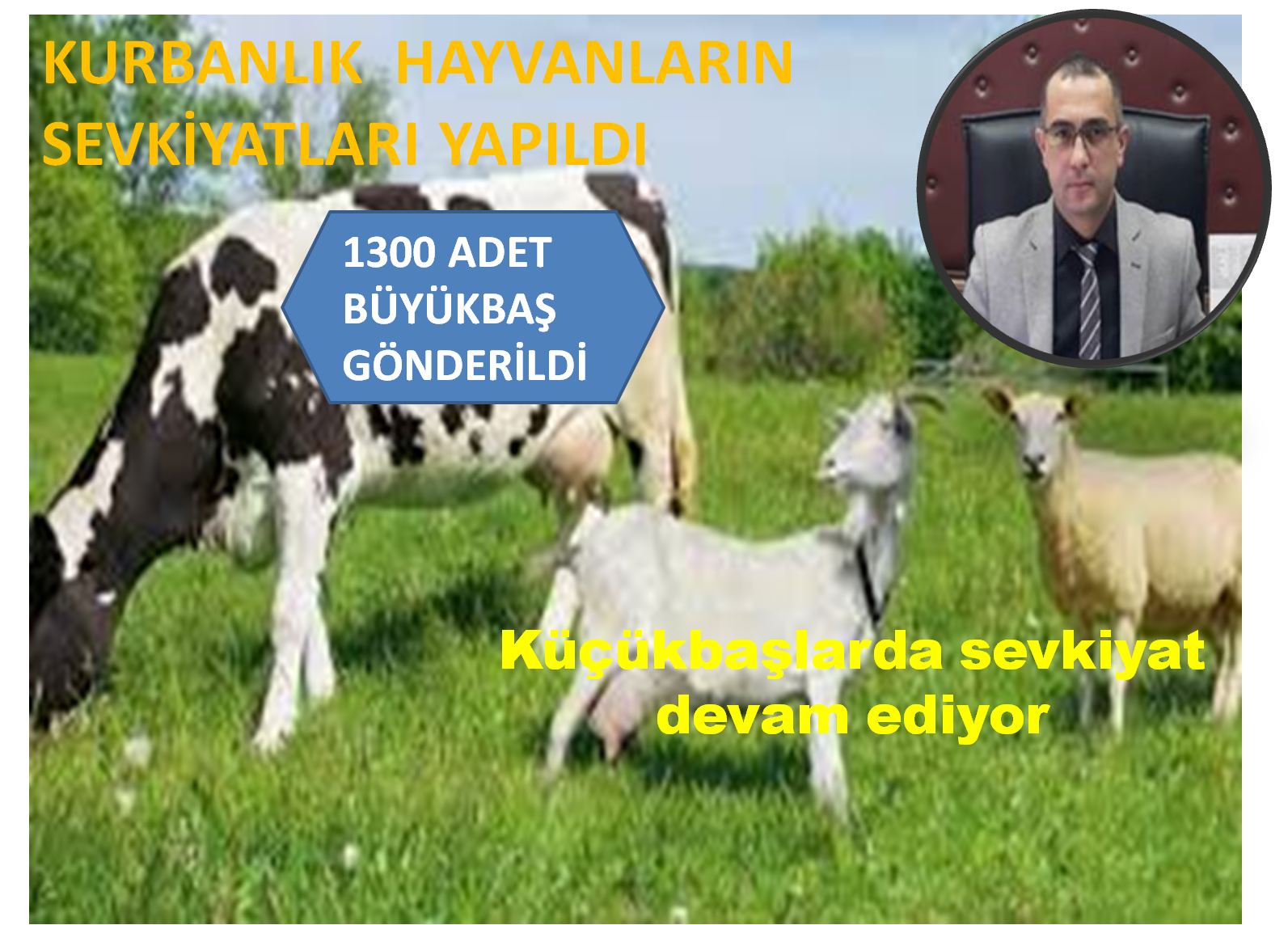 Şebinkarahisar da kurbanlık hayvan sevkiyatları devam ediyor