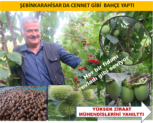 ŞEBİNKARAHİSAR DA CENNET BAHÇESİ OLUŞTURDU