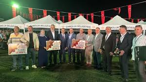 31. Çamoluk Bal Festivali Gerçekleştirildi