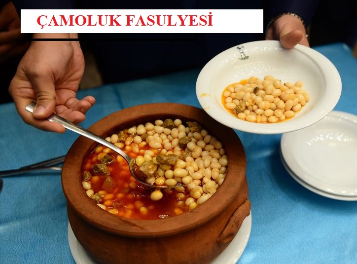 Coğrafi İşaret Alan Çamoluk Kuru Fasulyesi Tesisi Hazırlanıyor