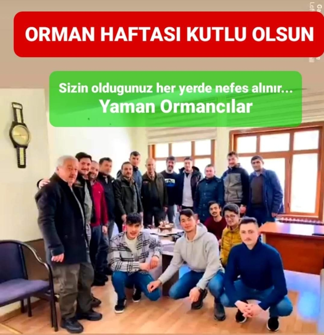 Şebinkarahisar da Orman Haftası Kutlandı